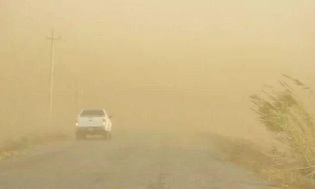 Alerta por vientos fuertes para la madrugada del jueves