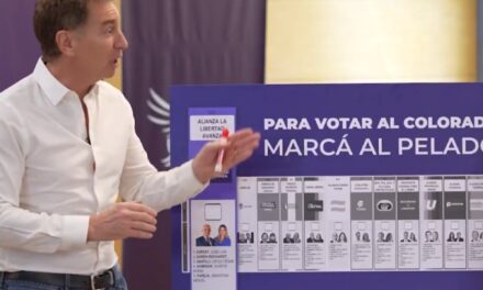 El spot de La Libertad Avanza para la provincia en el que evitan nombrar a Espert