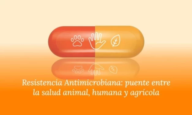 Nuevo Simposio Provincial para combatir la resistencia antimicrobiana