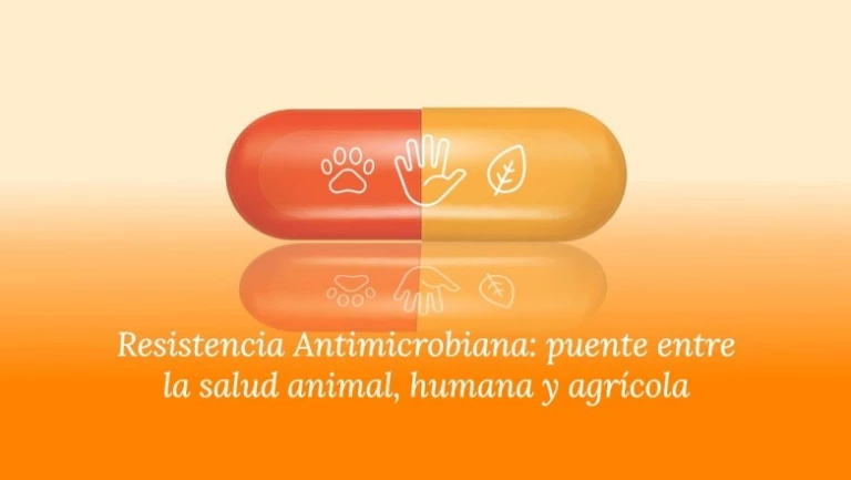 Nuevo Simposio Provincial para combatir la resistencia antimicrobiana