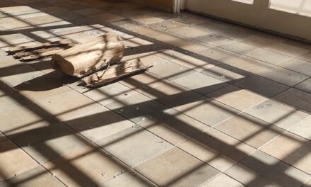 Quiso robar en un camping, lo Detuvieron en el acto