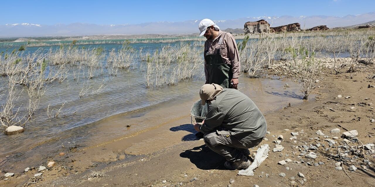 Determinan las causas de la mortandad de peces en el Dique Cuesta del Viento