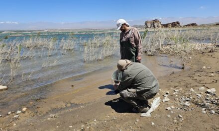 Determinan las causas de la mortandad de peces en el Dique Cuesta del Viento