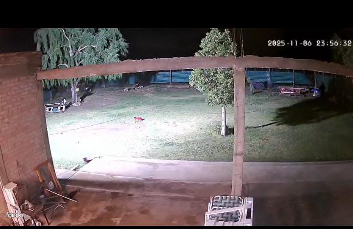 Vecinos de El Mogote denuncian inseguridad y falta de respuesta policial: Mirá el vídeo de los robos