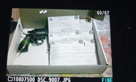 Villa Hipódromo: Detuvieron a un hombre y secuestraron armas