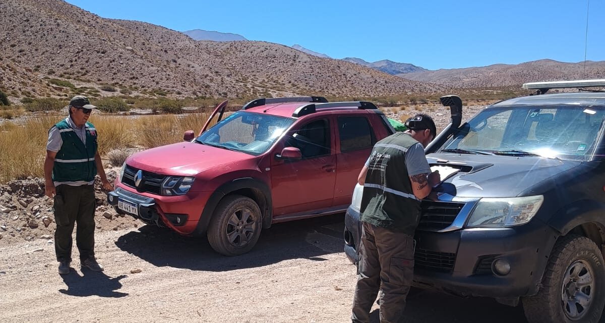 Operativo de Fauna en Iglesia: Decomisan ejemplares cazados y perros galgos