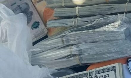 Detienen a un hombre vinculado a un robo millonario en Rawson