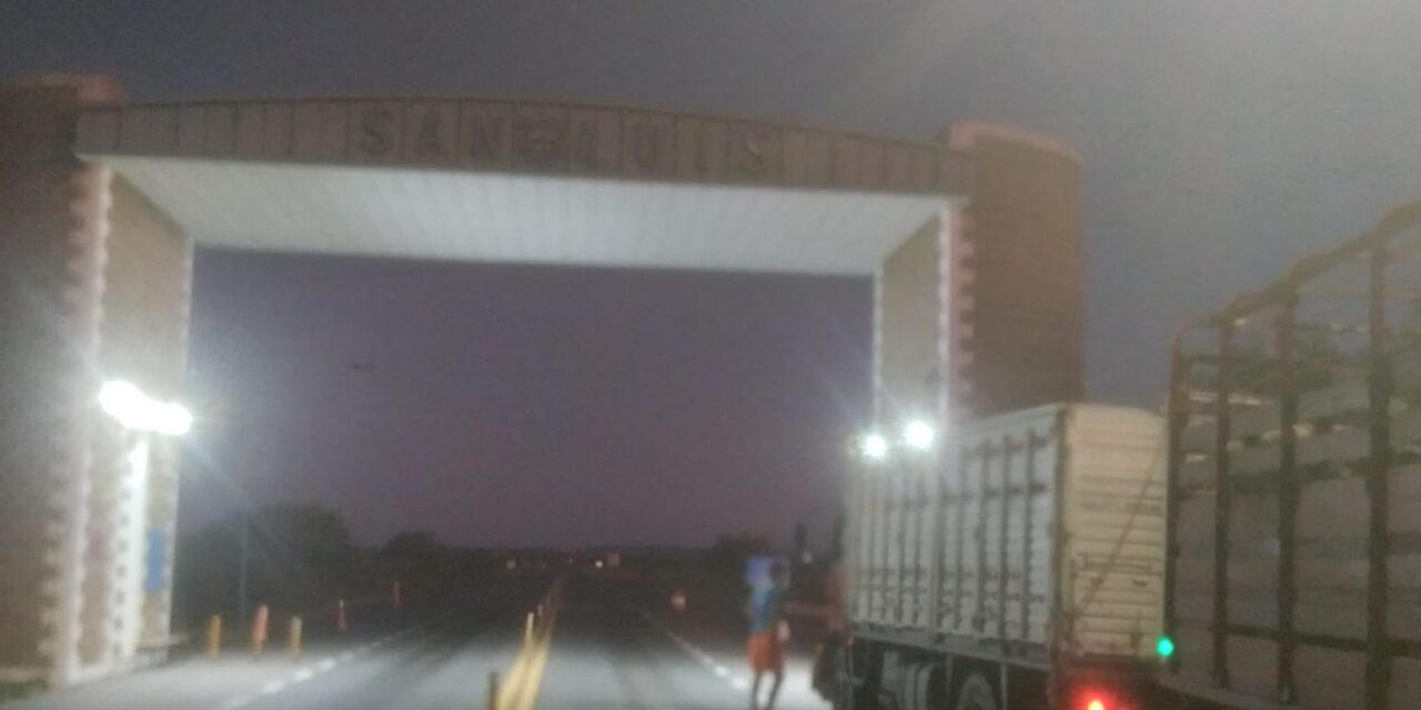 Las Trancas: Intervienen un camión con ganado por irregularidades en las marcas