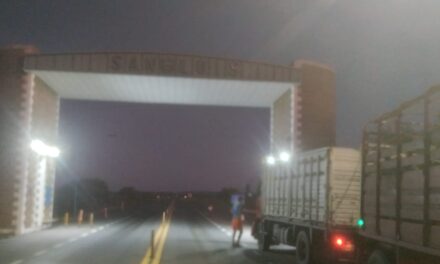 Las Trancas: Intervienen un camión con ganado por irregularidades en las marcas