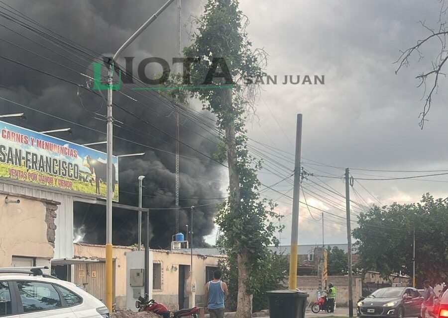 Incendio en Rivadavia: Mirá el accionar de los bomberos en el siniestro de Telas Alicia