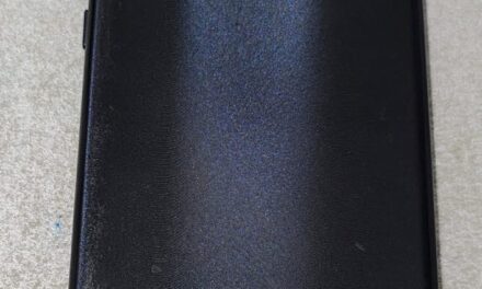 Detuvieron a una pareja por robarle el celular a un hombre en una plaza de Rawson