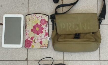 Cayó en Santa Lucía un ladrón reincidente