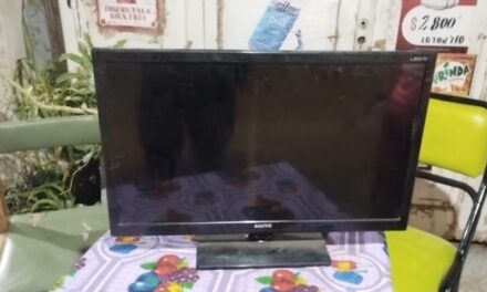 Un robo frustrado en Villa Unión terminó con un joven detenido