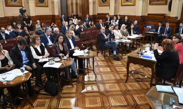 El Senado ratificó el proyecto que limita los DNUs presidenciales, aunque el peronismo puso en duda su postura