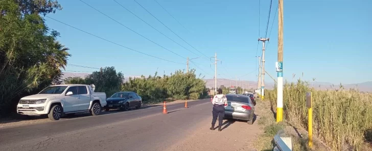 Caos en Halloween: Clausuraron un boliche y detectaron 13 conductores ebrios en Médano de Oro
