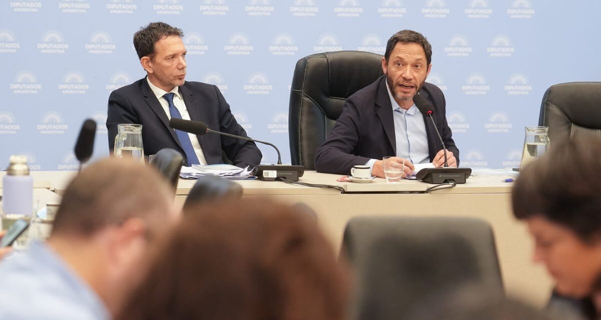 La comisión que investiga el caso $LIBRA se reúne antes de presentar su informe final