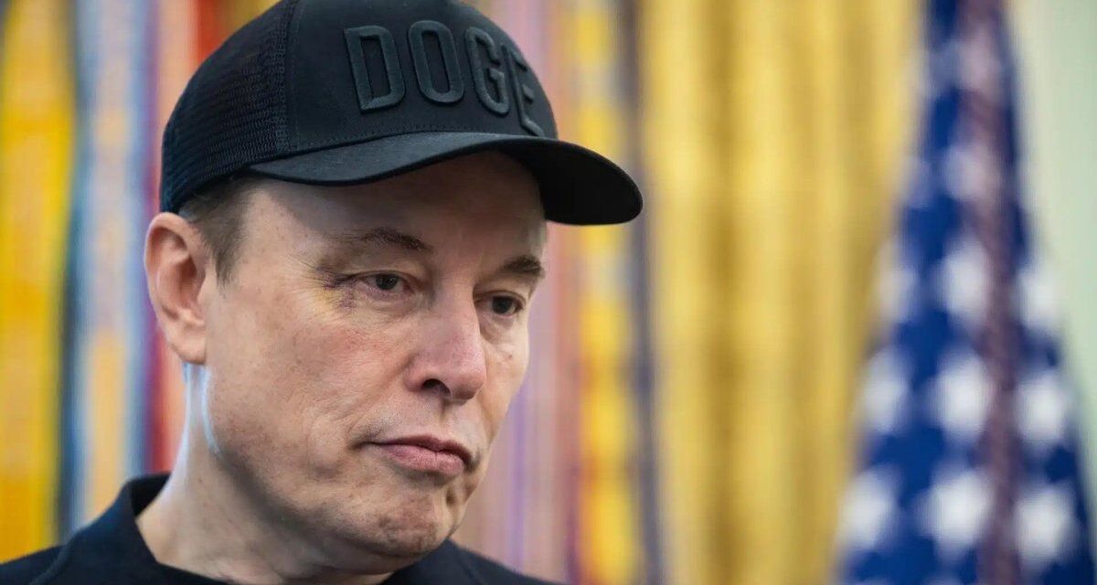 Cómo es Grokipedia, la nueva plataforma de Elon Musk que va a competir con Wikipedia