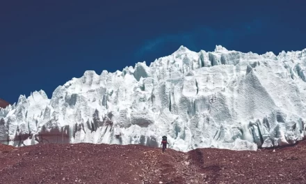 Walberto Allende: “Una reglamentación clara permitirá invertir sin poner en riesgo los recursos naturales”
