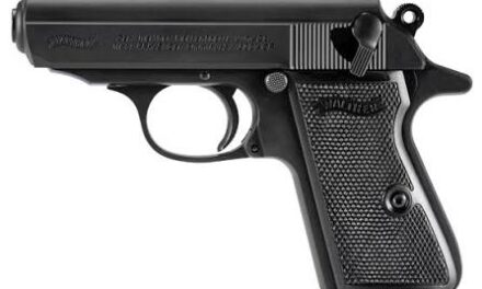 Aumenta la venta de pistolas 9 mm y calibre 22 en la provincia