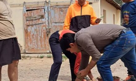 Jáchal celebra: La Escuela de Niquivil ganó el programa nacional RE.VER con un proyecto de stop motion