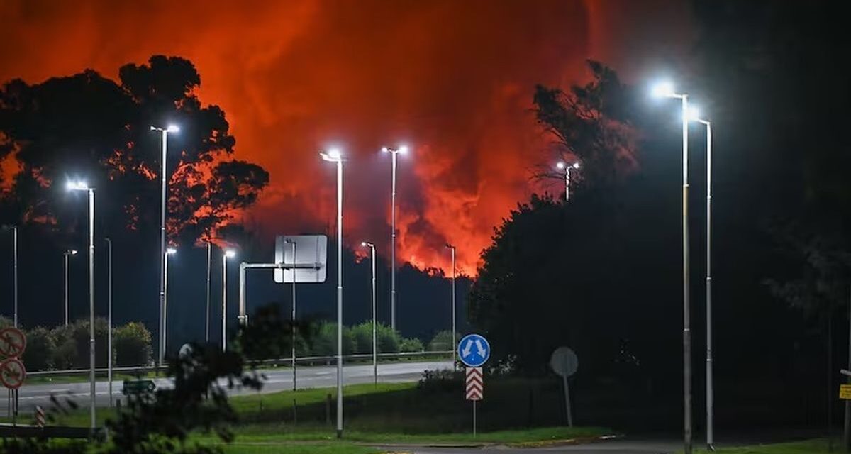 Confirman que aún quedan focos activos y que cinco industrias quedaron afectadas