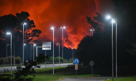 Confirman que aún quedan focos activos y que cinco industrias quedaron afectadas