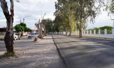 Desde hoy comienza a funcionar el primer polo gastronómico de Rawson