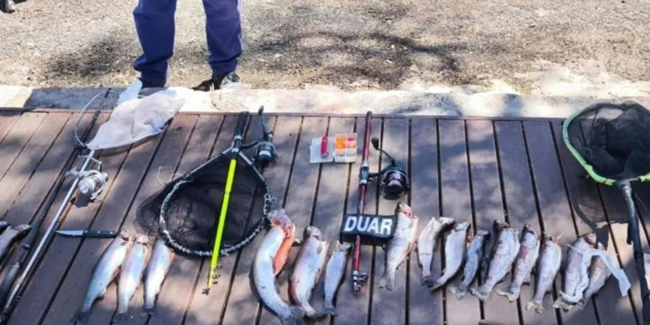 Furtivos bajo la lupa: operativos en el norte y el sur del país golpean a la pesca ilegal