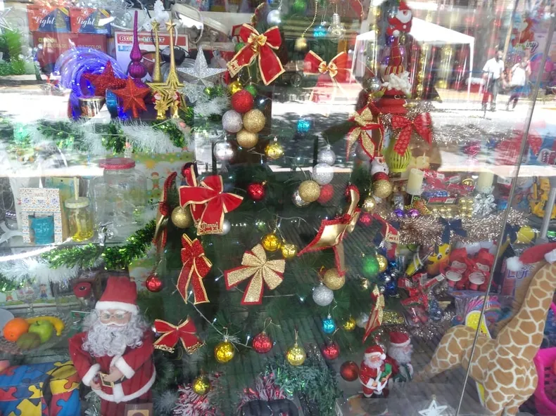 Árboles de Navidad en San Juan: Los precios se mantienen iguales al año pasado