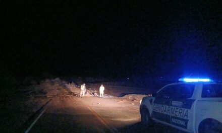 Desprendimiento y arrastre en la Quebrada de los Gauchos: Gendarmería trabaja para mantener la ruta transitable