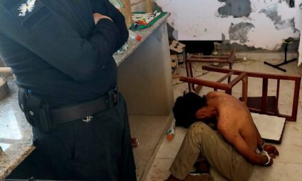 Entró a robar, forcejeó con un policía y fue detenido en Albardón