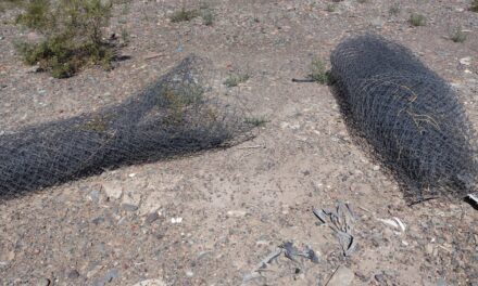 Jóvenes detenidos por el robo de rollos de alambre en la Planta de Trasbordo de Chimbas