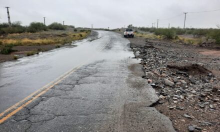 Inundaciones y arrastre: así están los caminos en la zona norte de la provincia