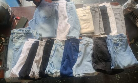 Detuvieron un menor tras robar ropa en Albardón