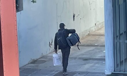 Robo millonario en un complejo de Capital: Un detenido tras ser fotografiado por un vecino