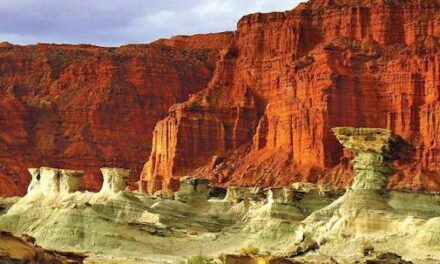 Ischigualasto reestableció el ingreso al circuito tradicional y volvió a abrir al público