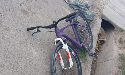 Robó una bicicleta en Albardón, huyó a Chimbas y terminó detenido tras un violento episodio con vecinos