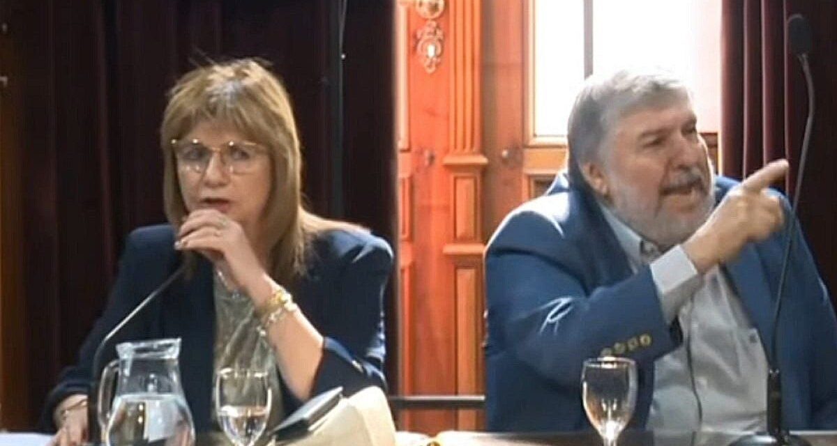 Duro cruce entre José Mayans y Patricia Bullrich en el debate por la reforma laboral: «Hacen lo que se les canta las pelotas»