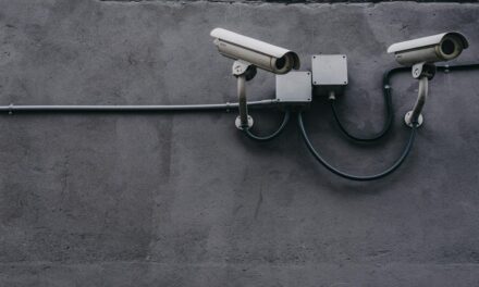 La nueva Inteligencia Artificial que usarán en dos ciudades de Argentina para combatir el crimen