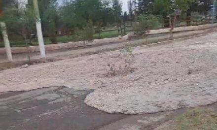 Temporal en San Juan: Intensas lluvias en el Gran San Juan y una violenta creciente que golpeó a Calingasta