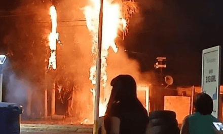 Navidad con susto en Rawson: Se incendió una palmera