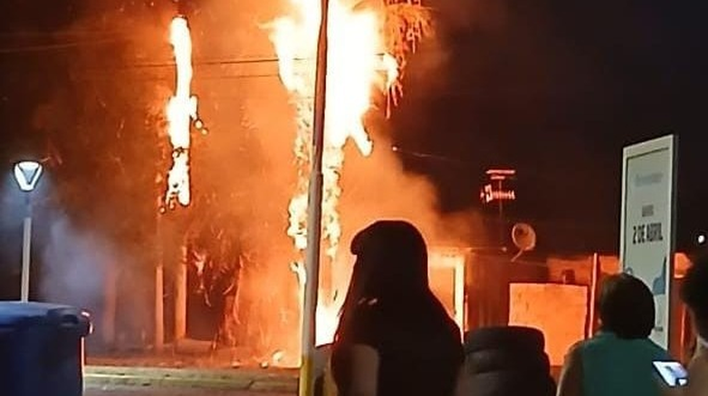 Navidad con susto en Rawson: Se incendió una palmera