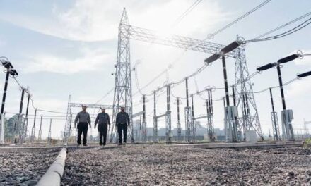 Energía sin asfixia: Habilitan un plan para que las agroindustrias paguen la luz en cuotas