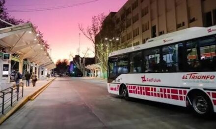 Habrá colectivos en Navidad y Año Nuevo: Así funcionará el transporte público