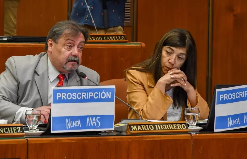 “No podemos hacer del transporte una ley de la selva”, advirtió Herrero sobre el proyecto oficial.