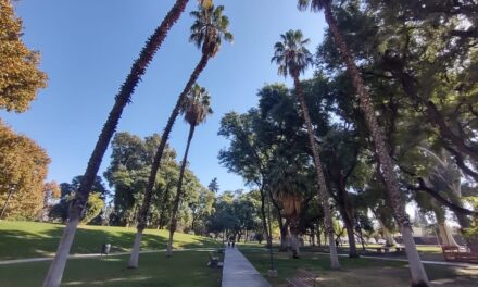 Expo policial en el parque de mayo: Exhibiciones, Música y Gastronomía en el Parque de Mayo junto a las fuerzas de seguridad