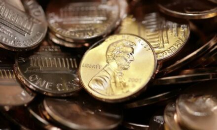 Nunca había visto nada igual