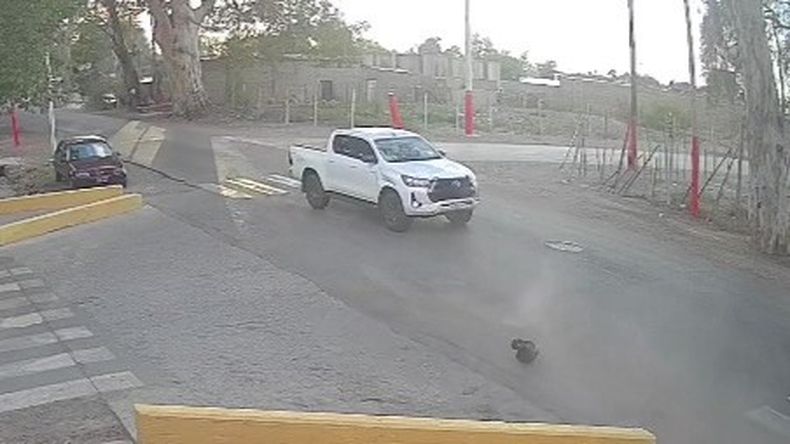 Se presentó el hombre que huyó tras atropellar a un motociclista en Chimbas