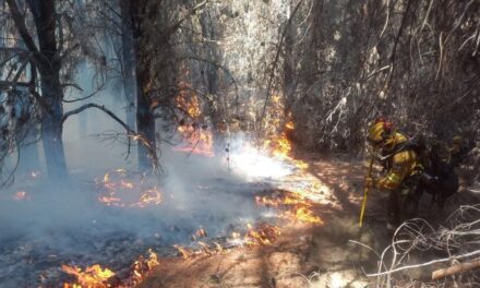 El Gobierno pretende incluir en sesiones extraordinarias la declaración de emergencia por los incendios