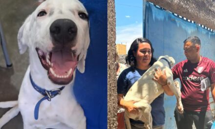 El abrazo que emocionó a todos: Mirá el reencuentro de Duque con su dueña
